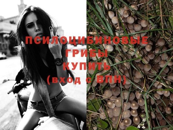 МДПВ Абинск