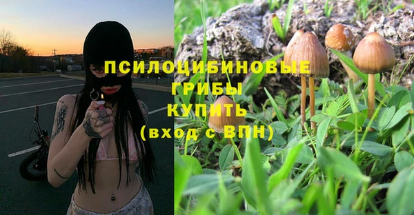 прущая мука Абаза
