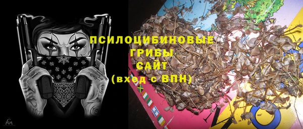 прущая мука Абаза
