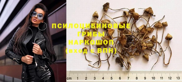 МДПВ Абинск