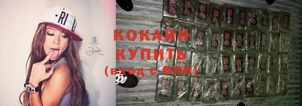 шишки Покров