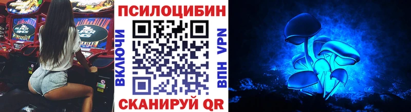 где можно купить наркотик  Ермолино  Галлюциногенные грибы Psilocybe 